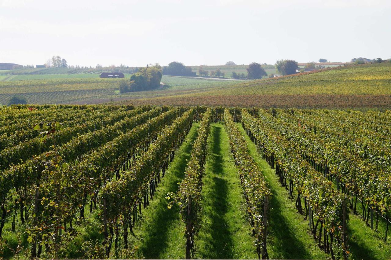 라우펜 암 네카 Weingut Schaaf 아파트 외부 사진